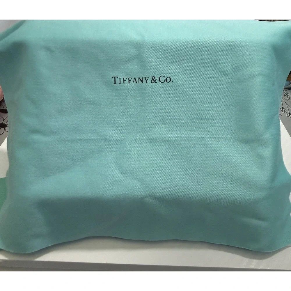 TIFFANY & CO EYEGLASS, Sunglass Hard Case, Storage Box, Cleaning Cloth, Pouch
